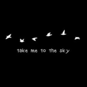 Meet your Posher, Alexx